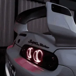 RACE  |  $100 nitro banner