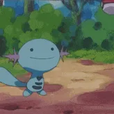 Wooper Academy banner