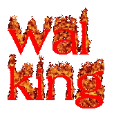 Walking banner