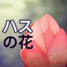 Hasu No Hana 🪷(ハスの花) | Mudae ○ Karuta ○ Games banner