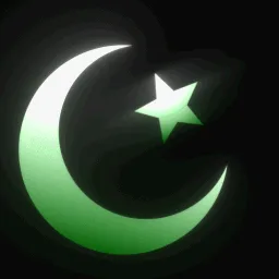/paki banner
