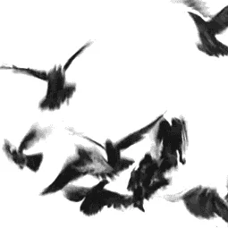 /fleshwound banner