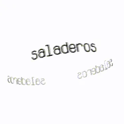 🍂 ‹﹐Saladeros #UNE ²⁰²⁶ banner