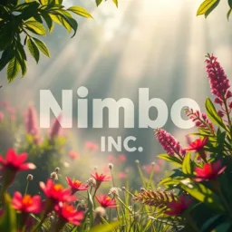Nimbo.inc banner