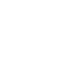 Protostar banner