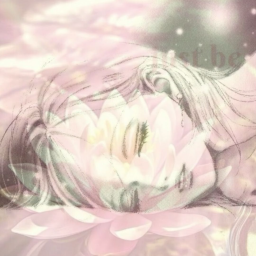 ⟡　NANA    🪷 .gg/nanaosaki banner