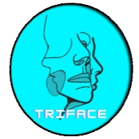 〴Triface Community banner