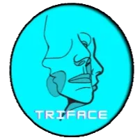〴Triface Community banner