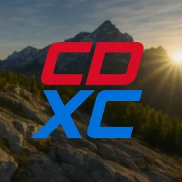 Codex Customs banner