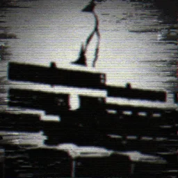 ᴀ ѕʜᴀᴛᴛᴇʀᴇᴅ ᴘʀᴏᴘʜᴇᴄʏ banner