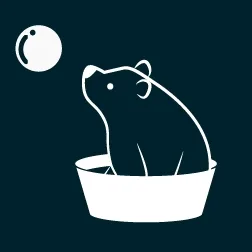 Washbear Studio banner