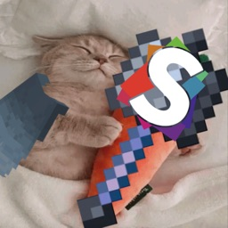 Synapse Cat Fan Club banner