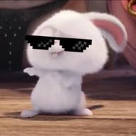 𝗠𝗘𝗠𝗘𝗦 𓆩🤍𓆪 ➜     STICKERS, FRASES, VIDEOS , PELÍCULAS, MY HONEST REACTION & MÁS banner