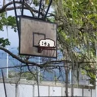 Memes Torneo La Parroquia🏀 banner