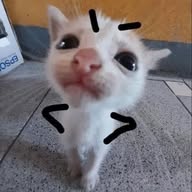 🇩🇪Funny Videos🤣 banner