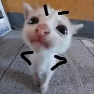 🇩🇪Funny Videos🤣 banner