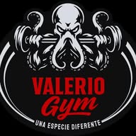 Valerio Gym banner