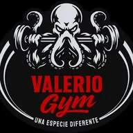 Valerio Gym banner