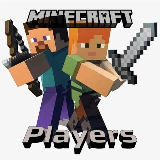 minecraft players banner