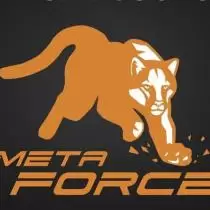 META FORCE 💯🔥 