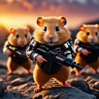 Hamster Kombat Hindi 