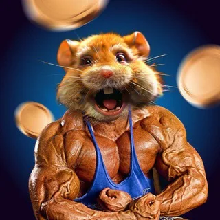Hamsters News Chat banner
