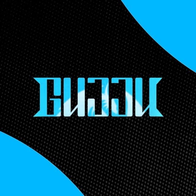 Gujju Esports
