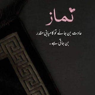 彡 DAR-E-ARQAM 彡 