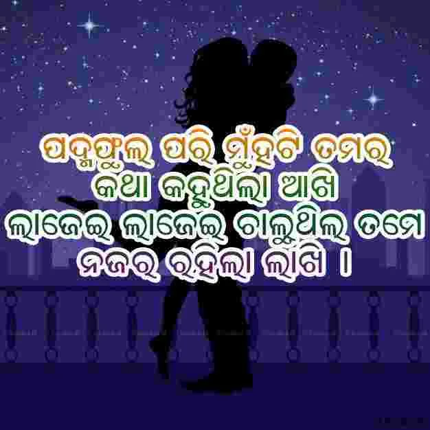 Odia Shyari banner