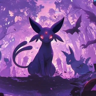 Evee cook’s banner