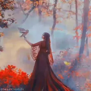 ایـده بانوان banner