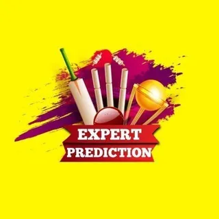 Expert Prediction 2011 banner