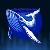 Blue Whale Trading 🐋 banner