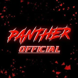 ᴛᴇᴀᴍ ᴘᴀɴᴛʜᴇʀ 🏴‍☠️ banner