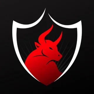 Booming Bulls Academy banner