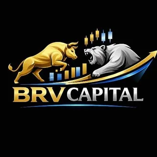 BRV CAPITAL banner