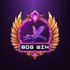 BDG WIN HUB banner
